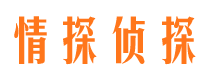 岱岳市婚外情调查